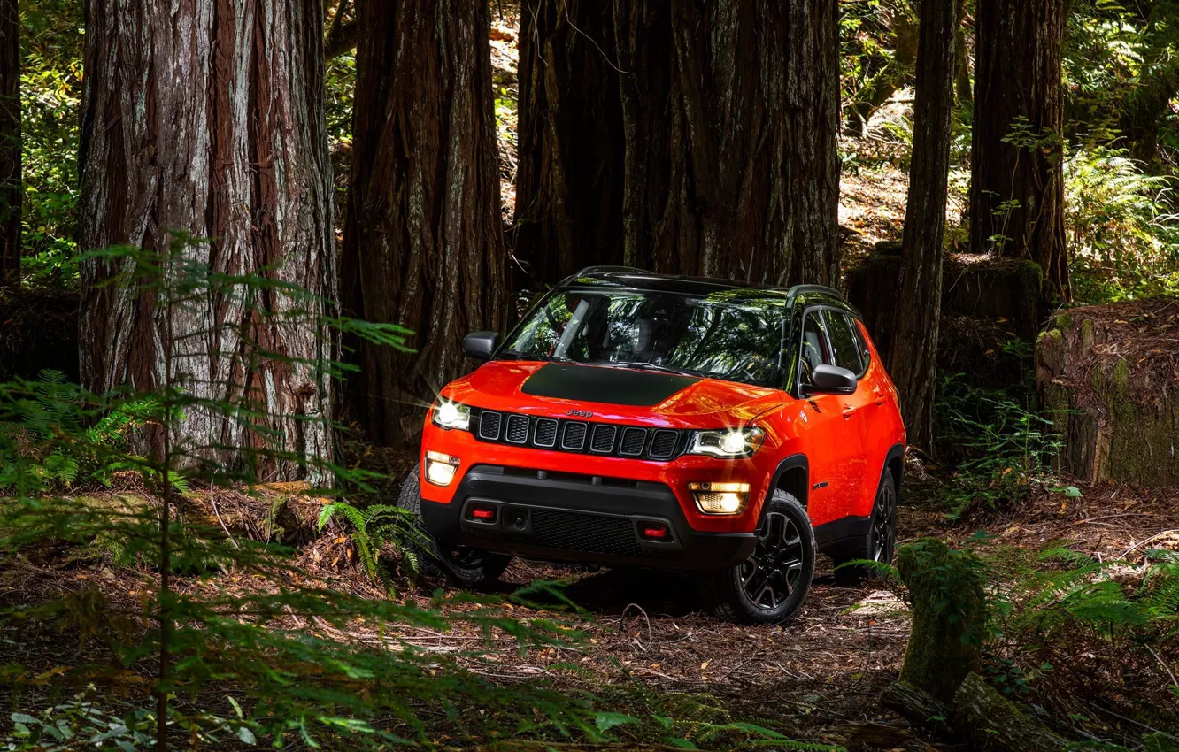 Photo wallpaper car, red, forest, Compass, Jeep, vegetation, Jeep Compass