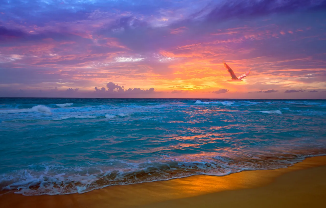 Photo wallpaper beach, the sky, the ocean, seagulls, dawn