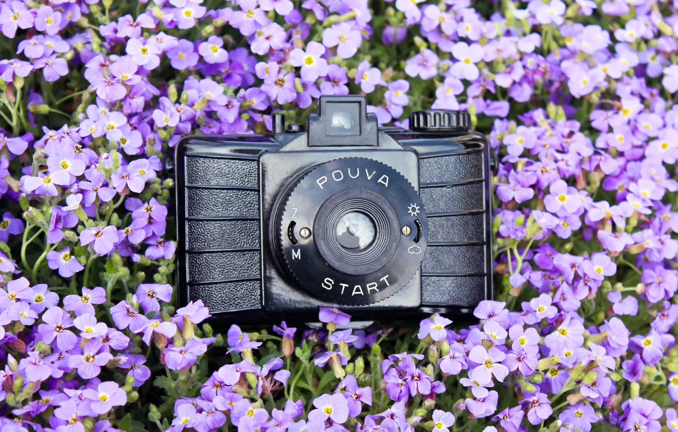 Photo wallpaper macro, background, camera, Pouva Start