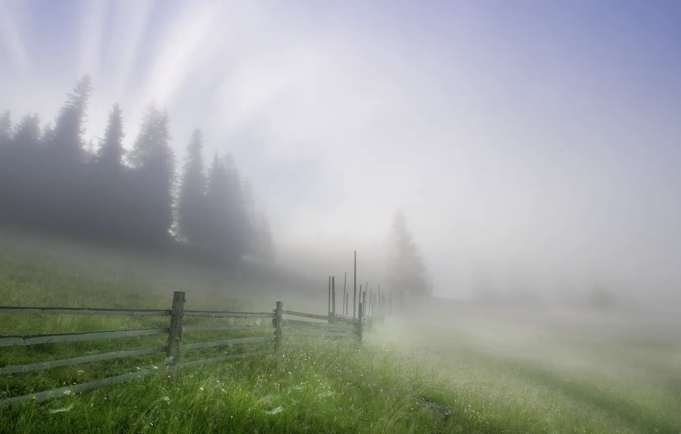 Photo wallpaper landscape, fog, the fence