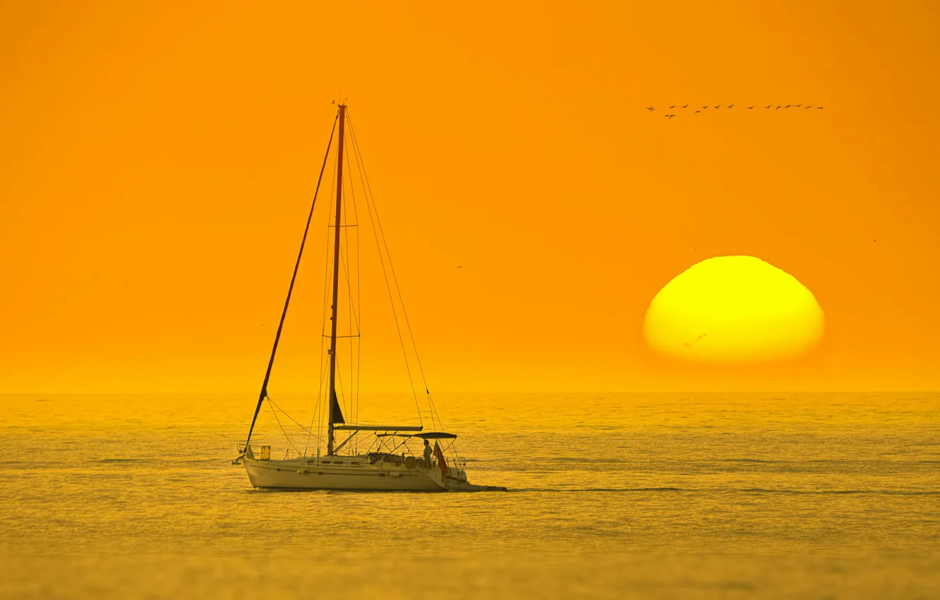 Photo wallpaper sea, the sky, the sun, the way, dawn, ship, morning, yacht