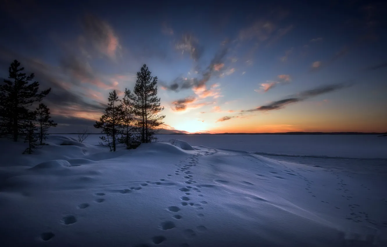 Photo wallpaper winter, snow, traces, morning