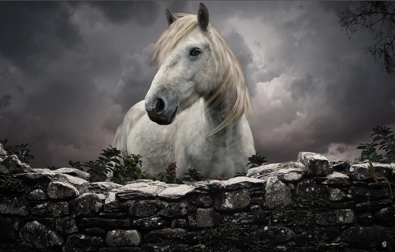 Photo wallpaper white, horse, the fence, stone