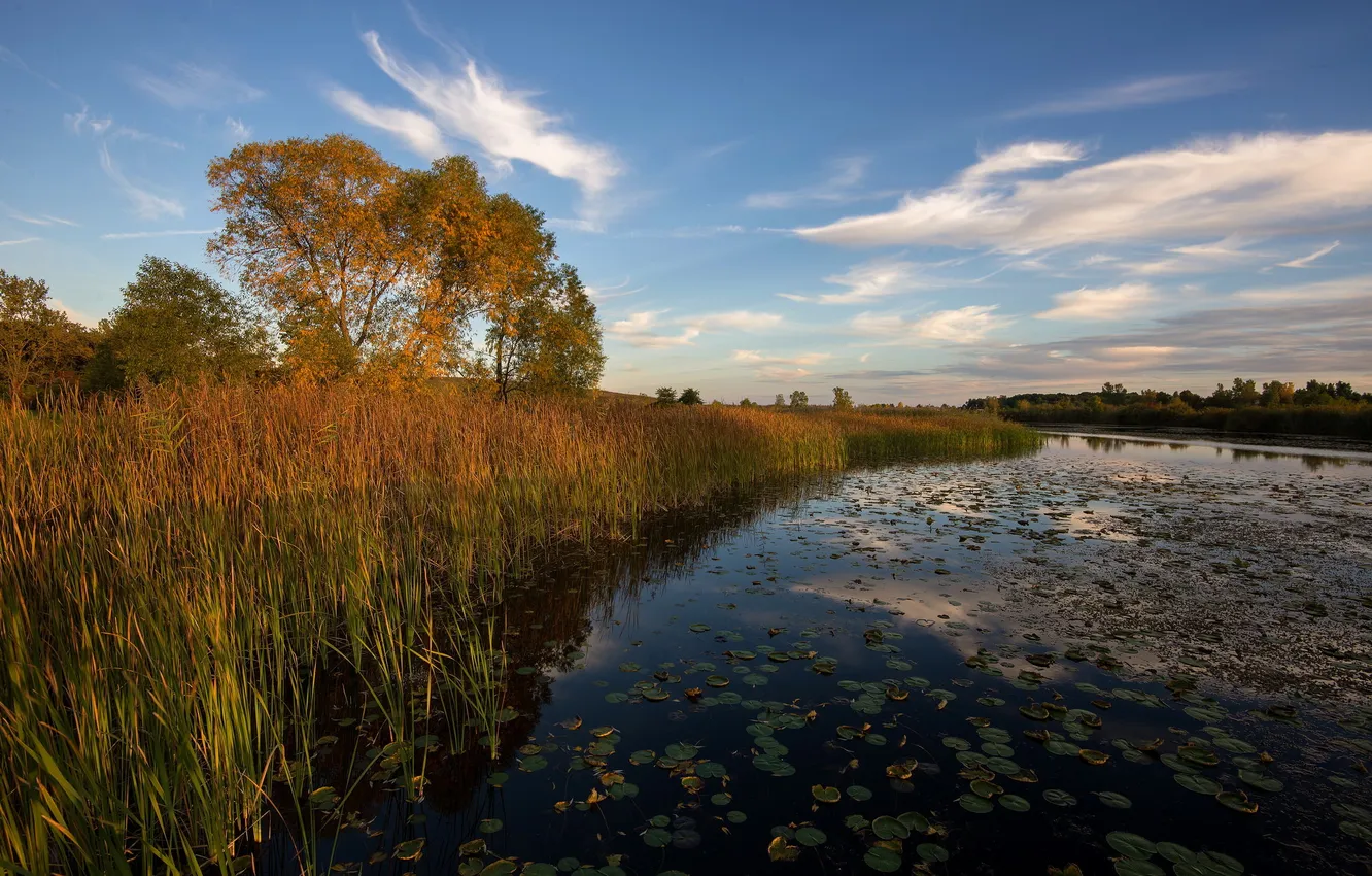 Photo wallpaper autumn, landscape, lake