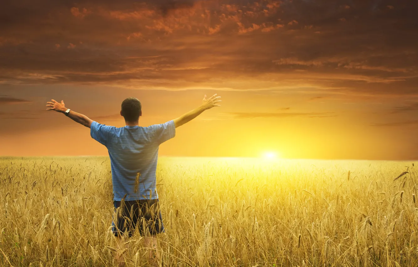 Photo wallpaper field, the sun, dawn, meeting, hands, People, ears, welcomes