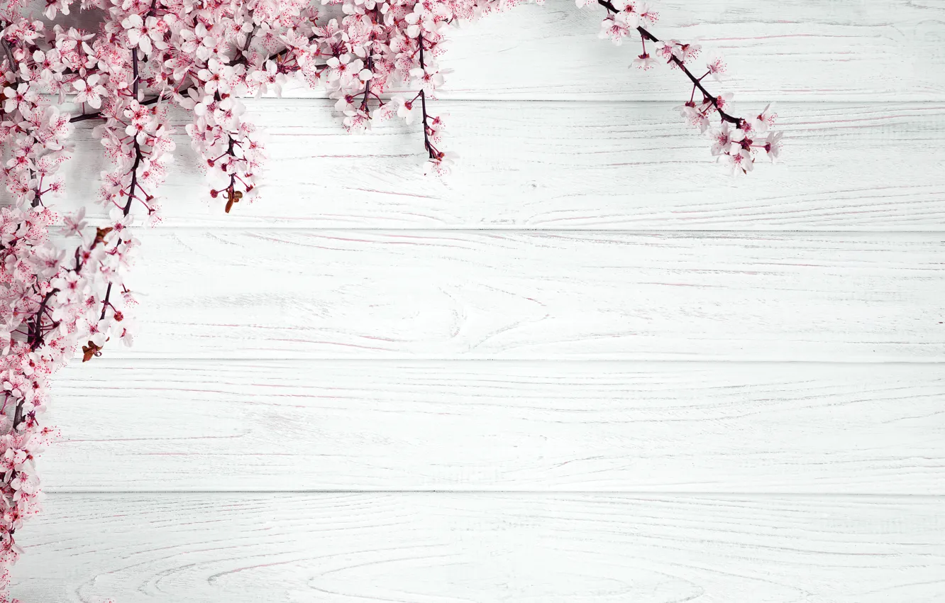 Photo wallpaper Flowers, Sakura, Template, Flowering Trees