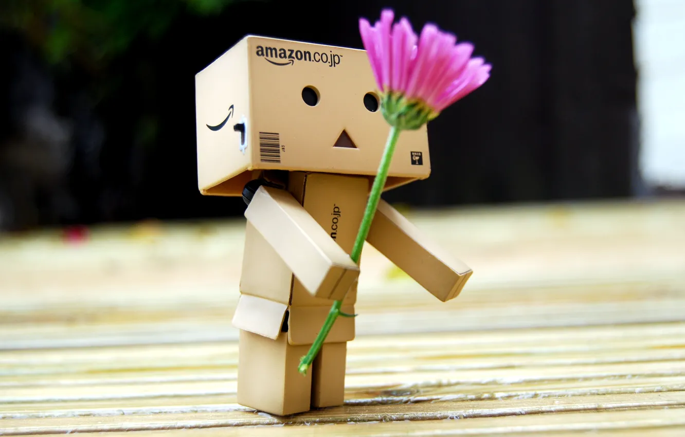 Photo wallpaper flowers, gift, robot, danbo, Danboard, box, toy, flower