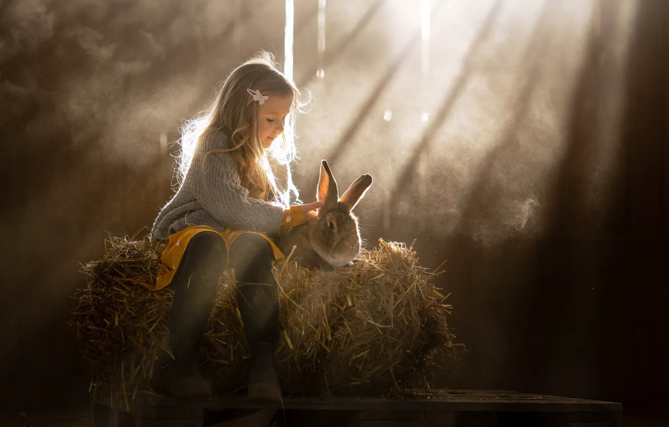 Photo wallpaper rays, each, rabbit, hay, girl