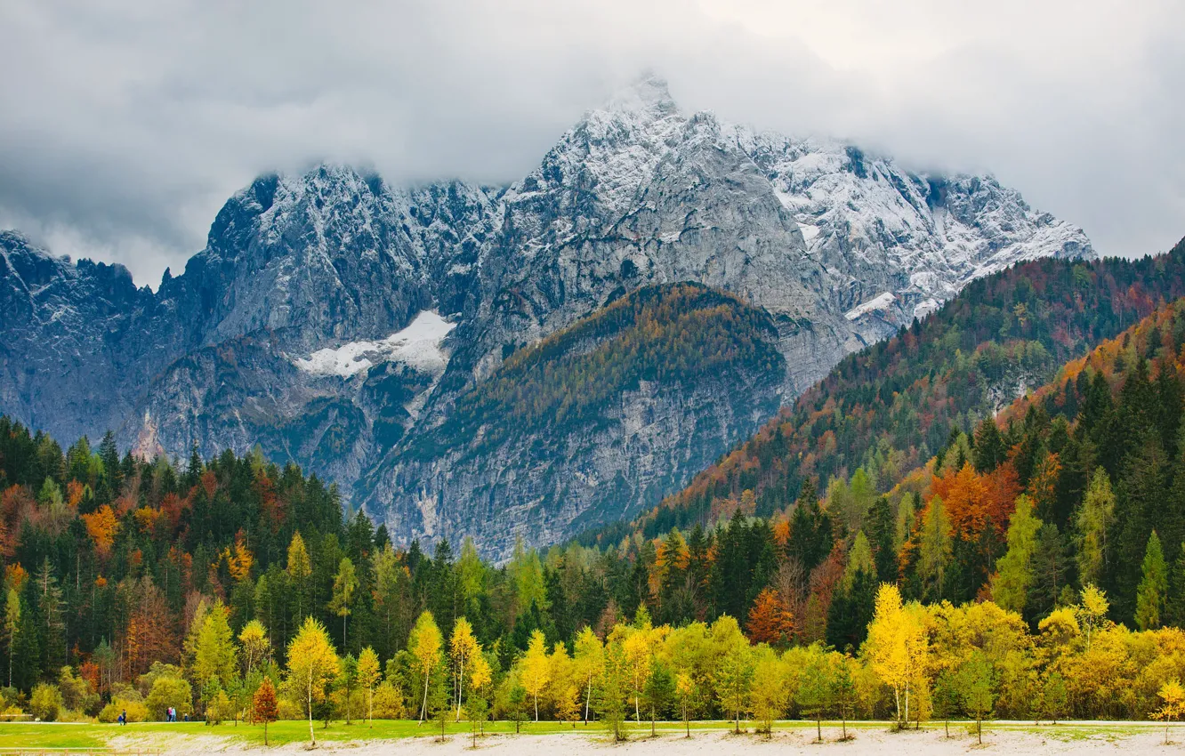 Photo wallpaper autumn, forest, clouds, snow, trees, mountains, fog, the slopes