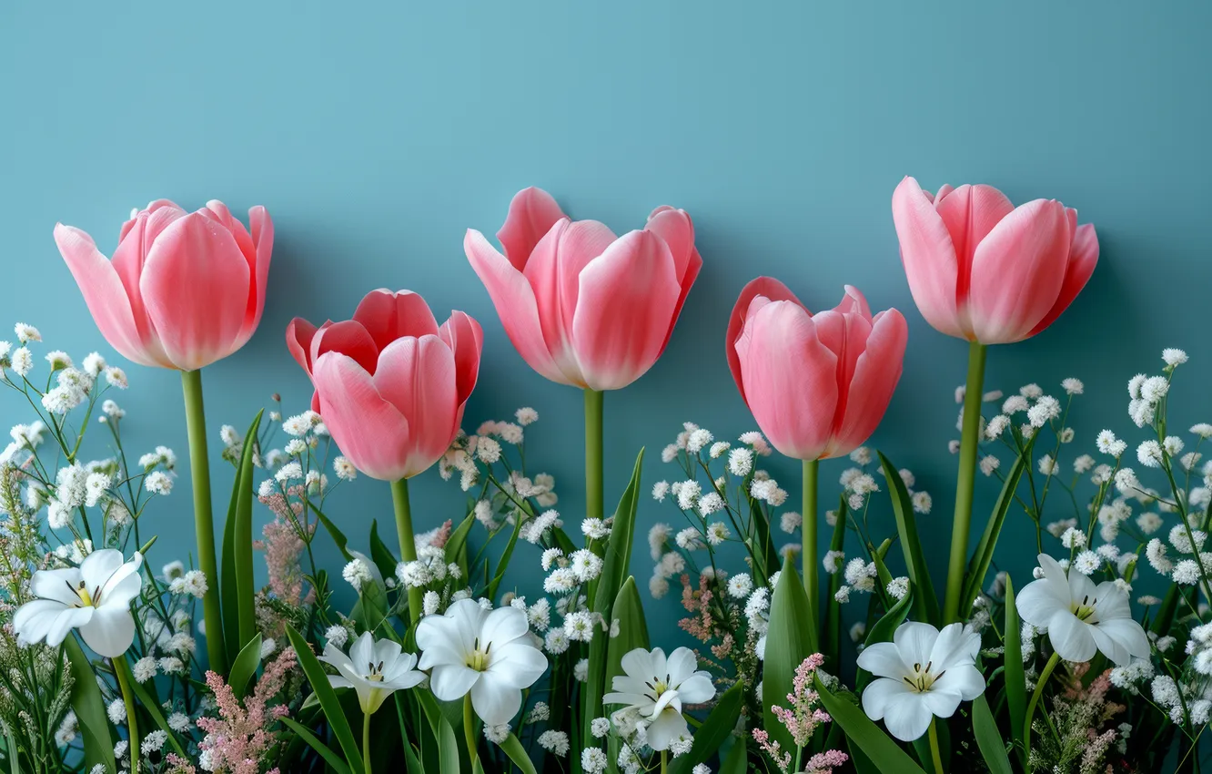 Photo wallpaper flowers, holiday, bouquet, tulips, pink, white, different, blue background