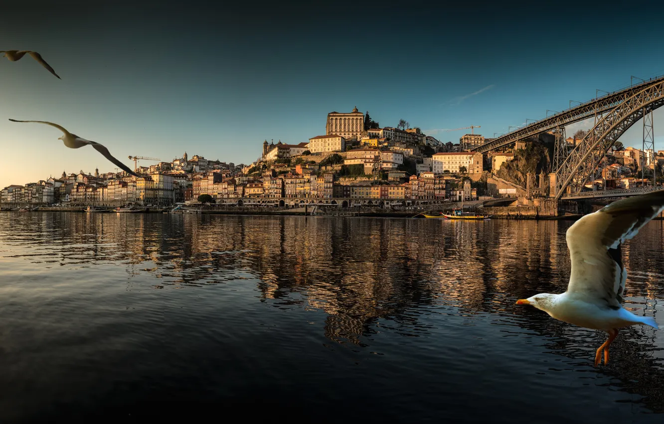 Photo wallpaper landscape, bridge, bird, boat, home, panorama, Portugal, Porto