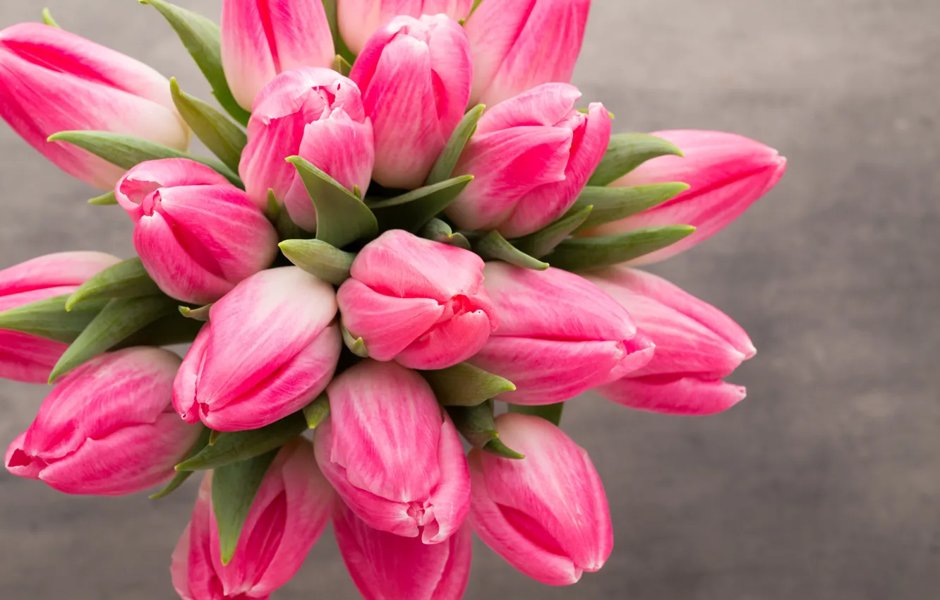 Photo wallpaper flowers, bouquet, tulips, pink, fresh, pink, flowers, beautiful