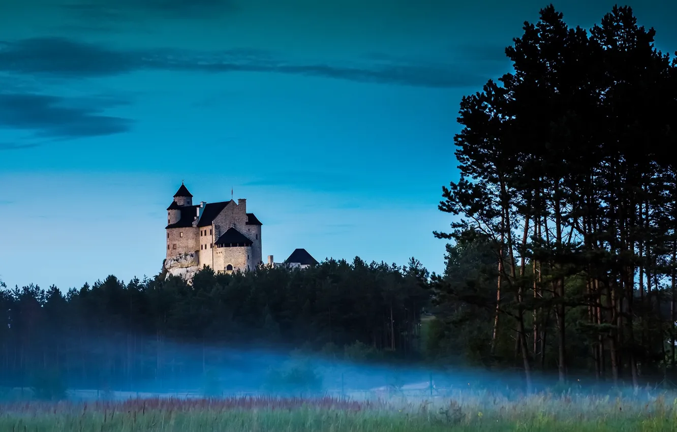 Photo wallpaper Poland, Lodz, Whistling, Bobolice Castle