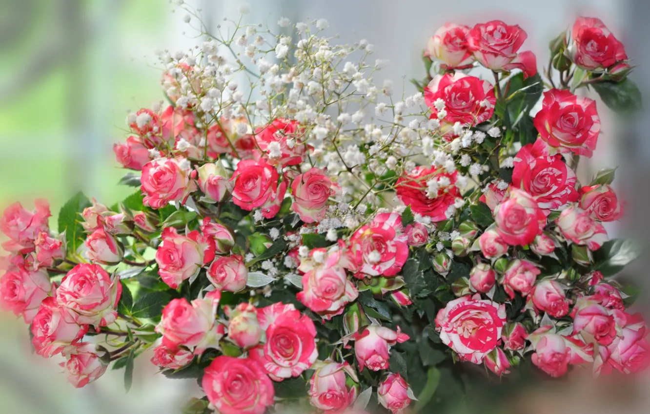 Photo wallpaper flowers, roses, bouquet, blur, motley