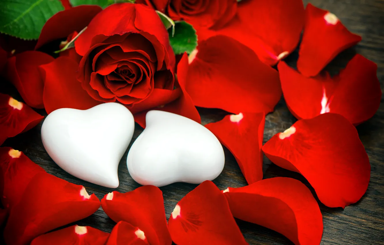 Photo wallpaper roses, petals, hearts, buds, Valentine's Day