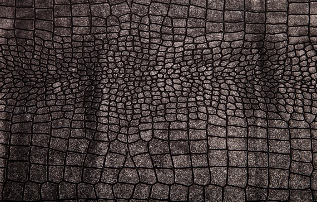 Photo wallpaper leather, black, texture, background, leather, crocodile skin