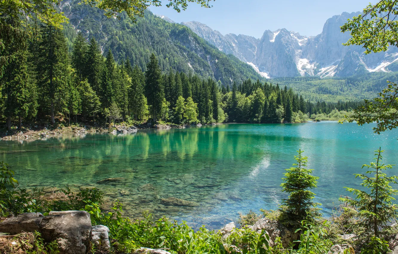 Photo wallpaper forest, mountains, nature, lake, tree, forest, nature, mountains