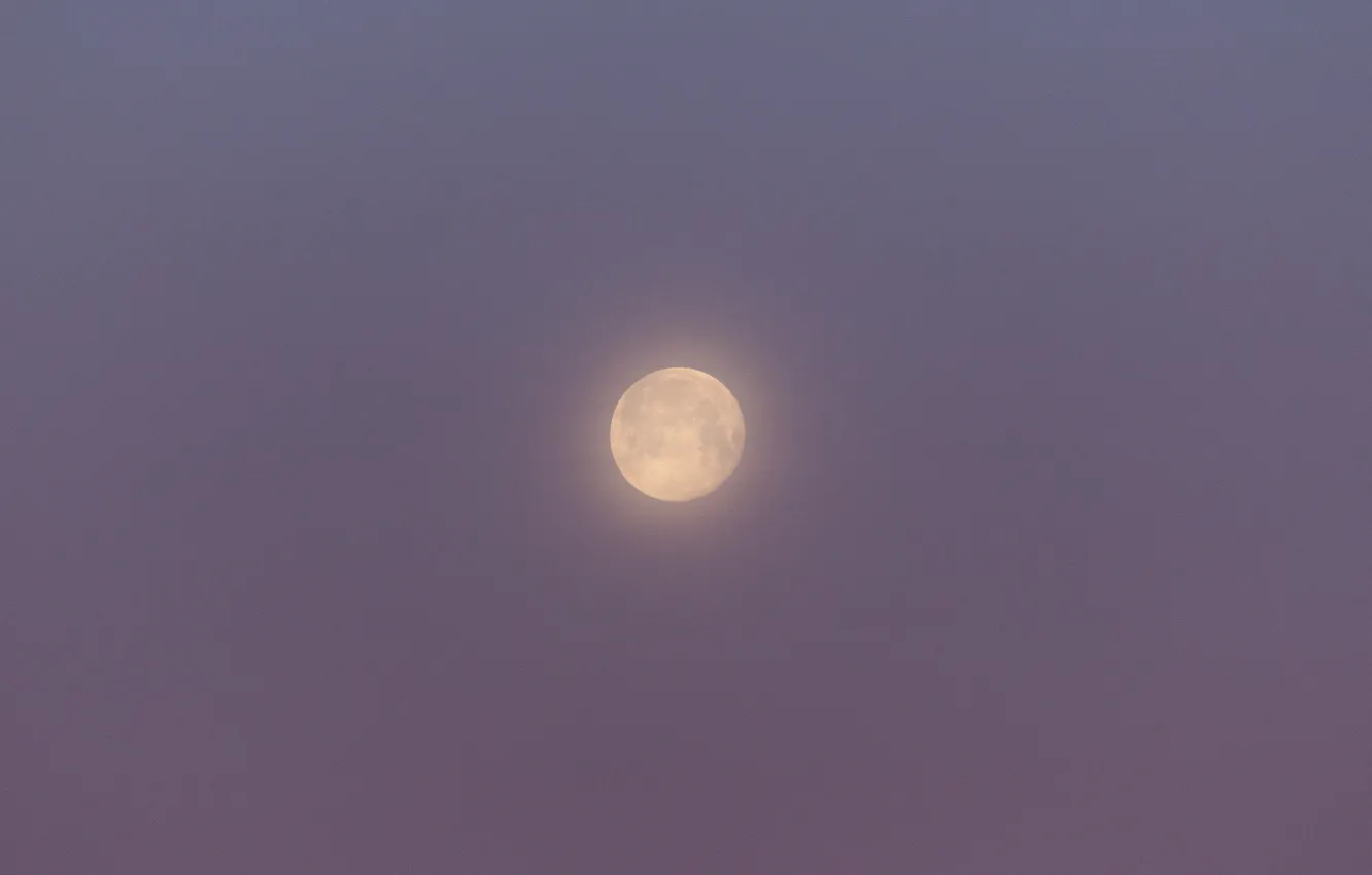 Photo wallpaper the sky, nature, the moon, the full moon