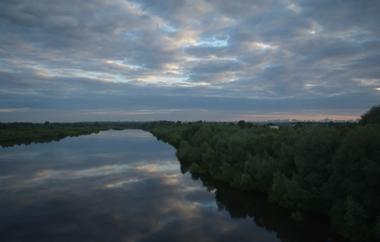 Photo wallpaper forest, water, river, Belarus, nature .