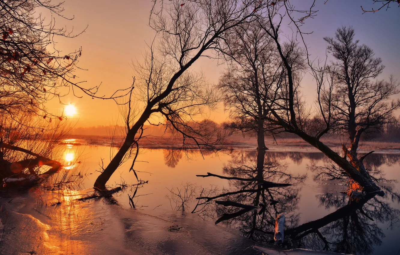 Photo wallpaper ice, the sun, trees, river
