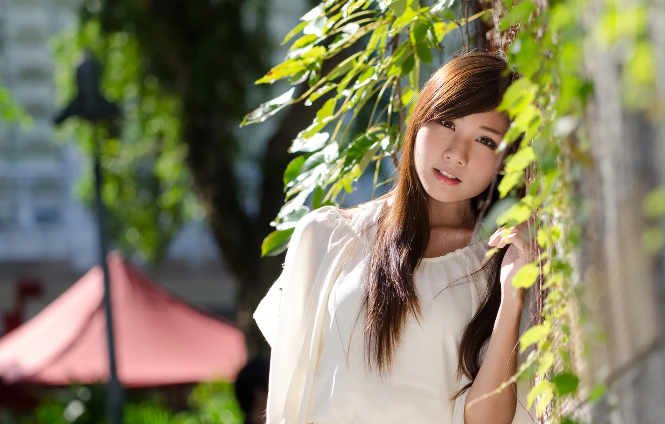Photo wallpaper look, hairstyle, leaves, in white, the sun, branches, the wall, dress