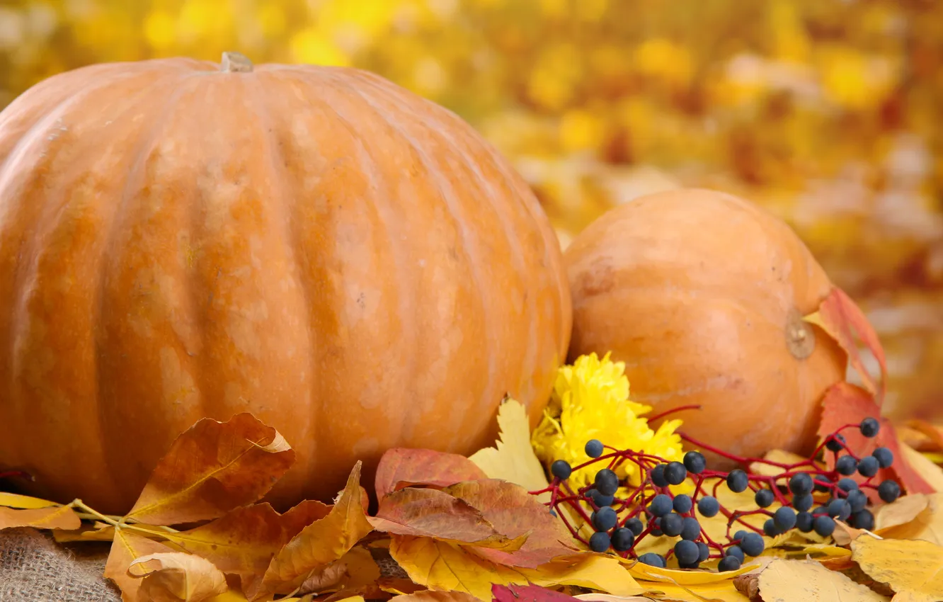 Photo wallpaper autumn, berries, foliage, pumpkin, autumn, leaves, pumpkin