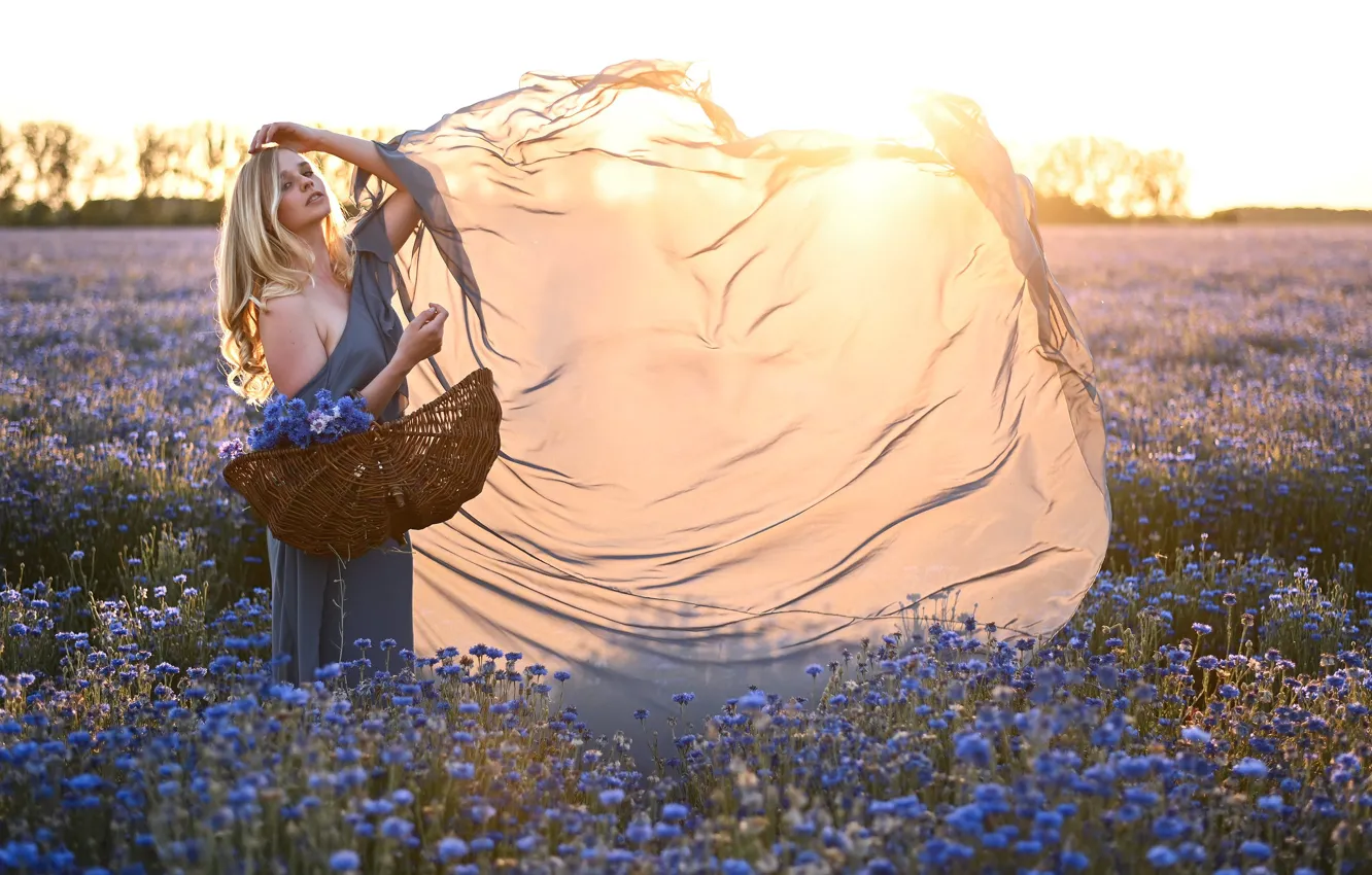 Photo wallpaper field, summer, girl, the sun, rays, light, flowers, blue