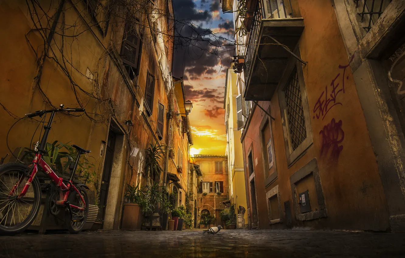 Photo wallpaper clouds, bike, reflection, Italy, pigeons, alley