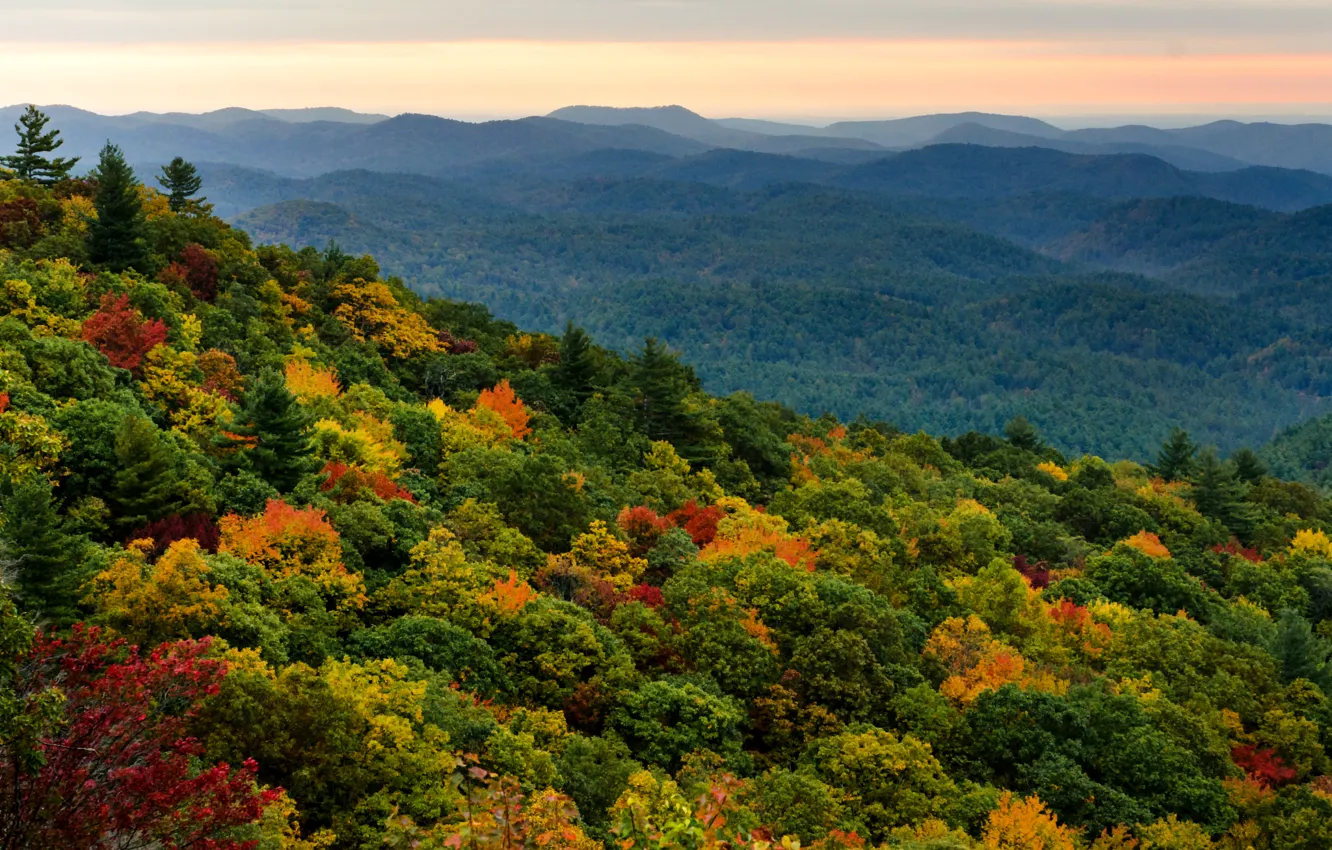 Photo wallpaper autumn, forest, the sky, trees, sunset, orange, hills, view