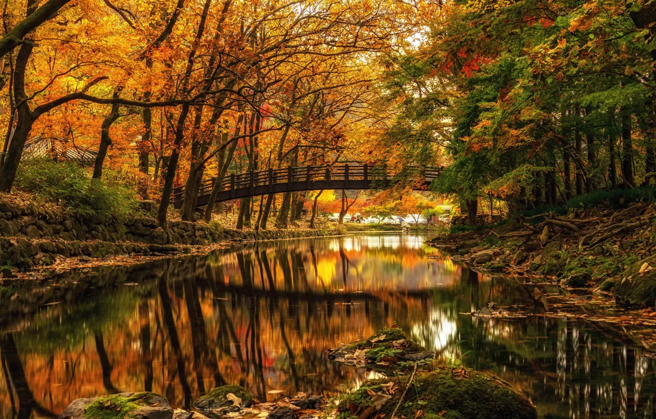 Photo wallpaper autumn, trees, bridge, Park, river