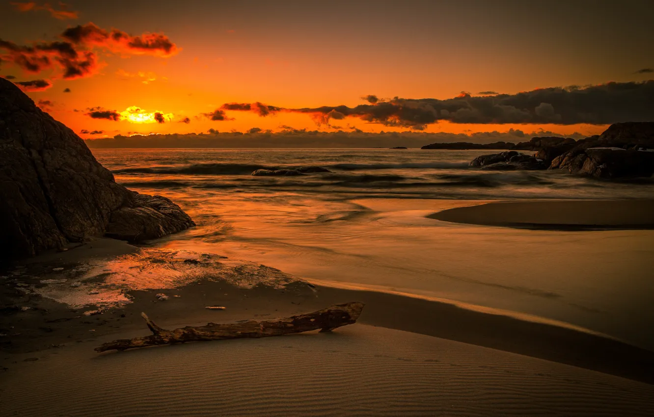Photo wallpaper sand, beach, landscape, nature, the ocean, dawn, horizon
