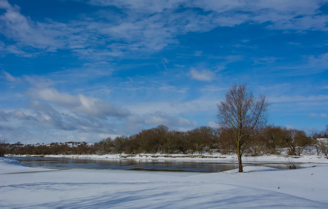Photo wallpaper the sky, clouds, nature, spring, Sunny day