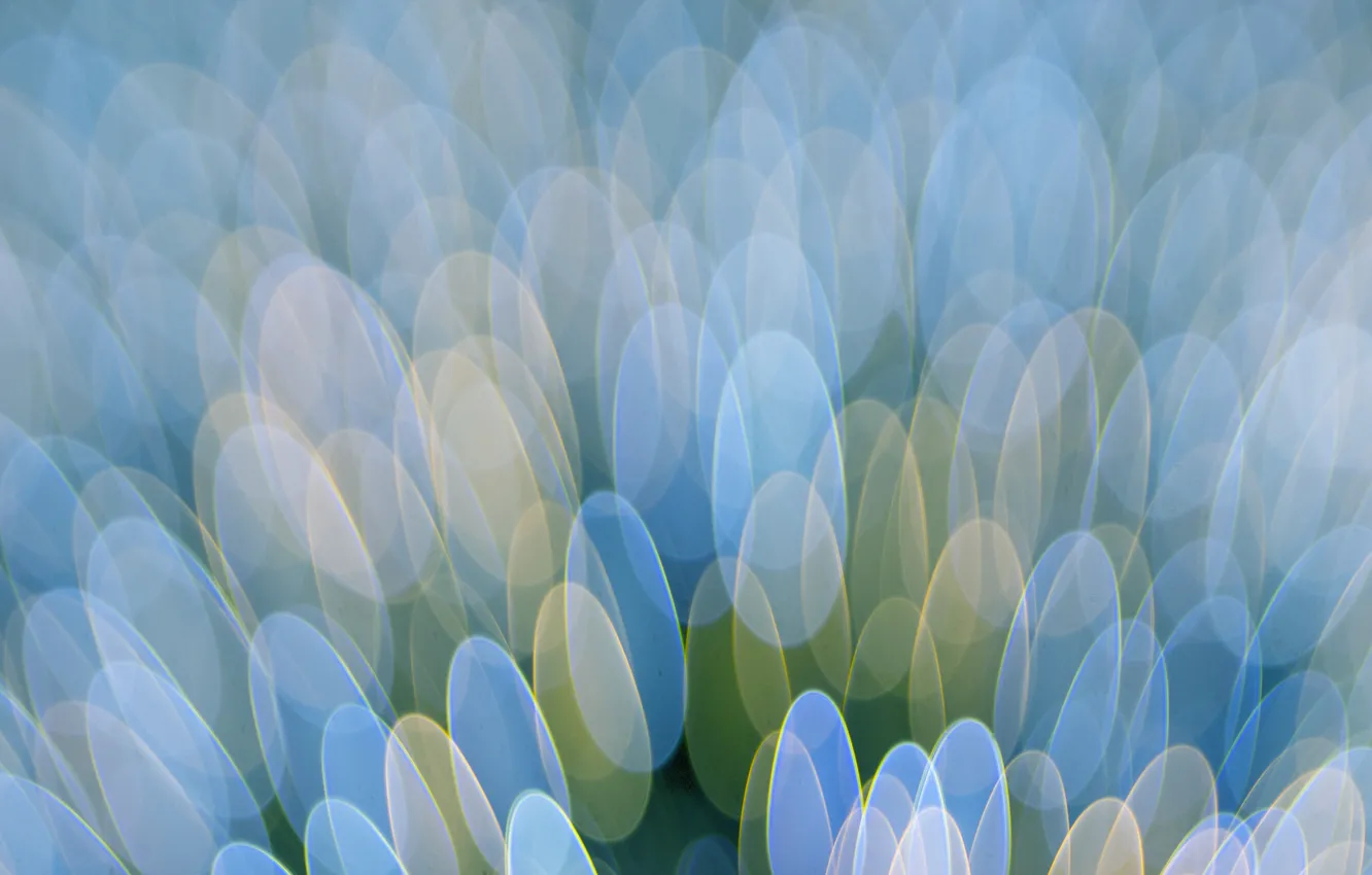 Photo wallpaper light, background, color, the volume, oval