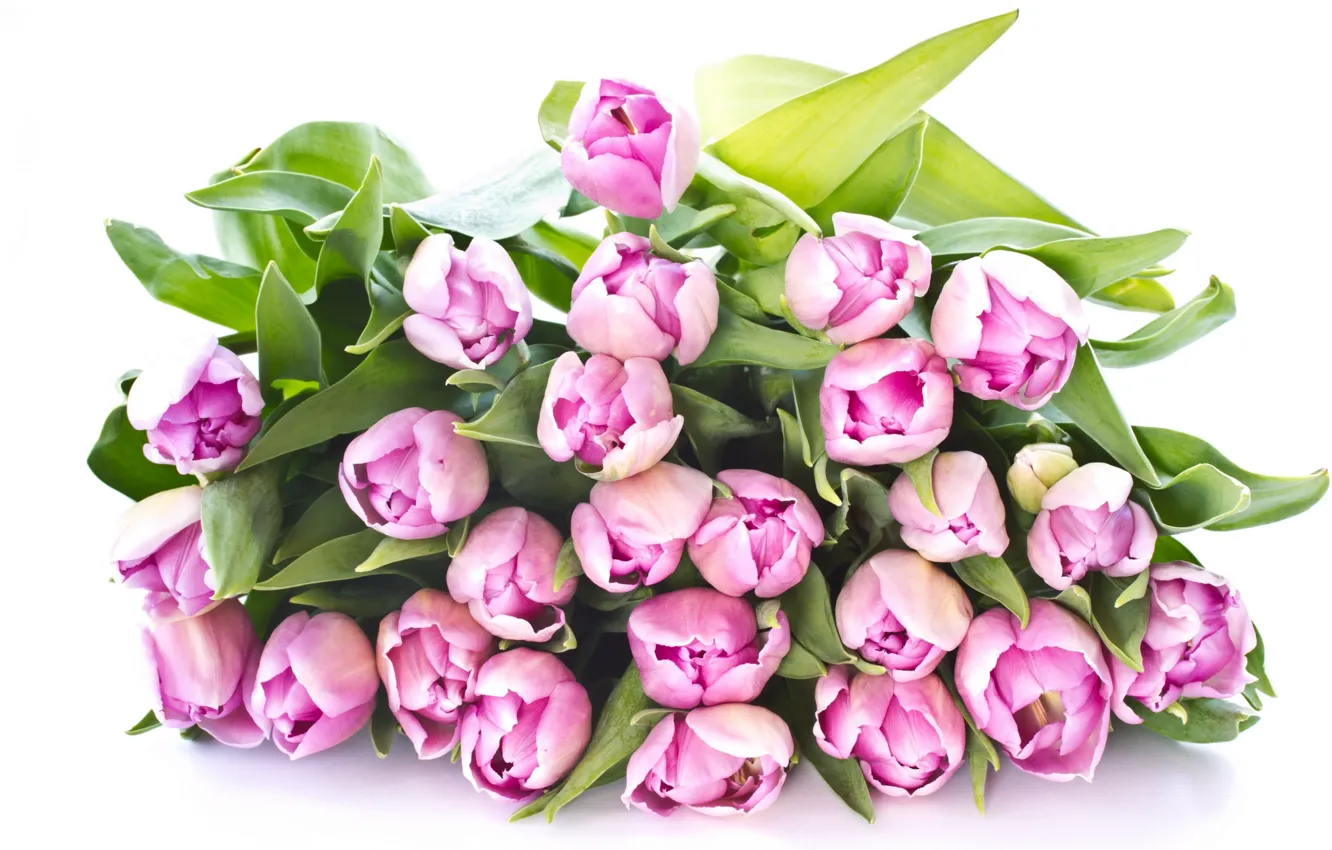 Photo wallpaper leaves, flowers, beauty, bouquet, petals, tulips, pink, pink