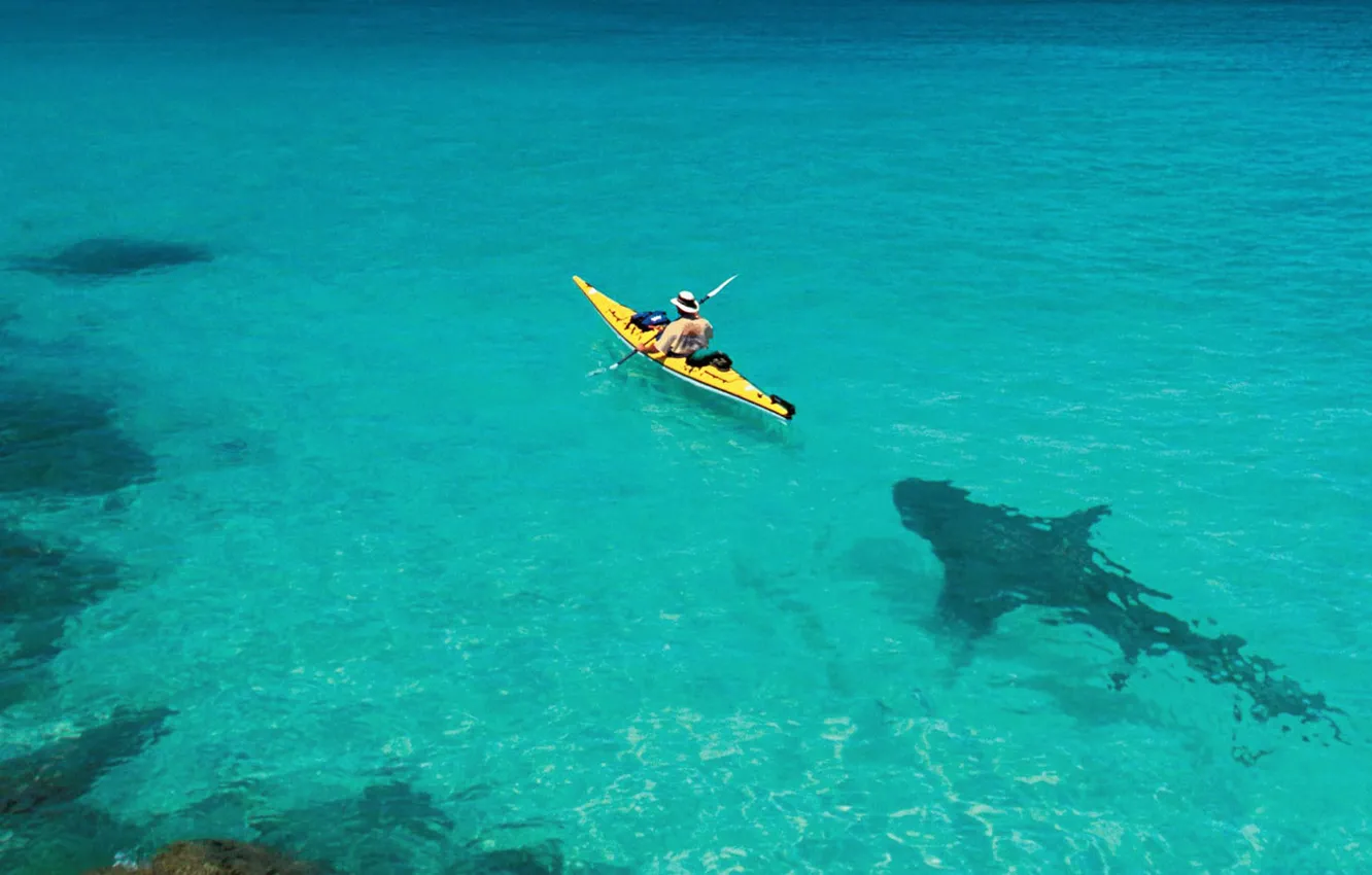 Photo wallpaper boat, shark, oops