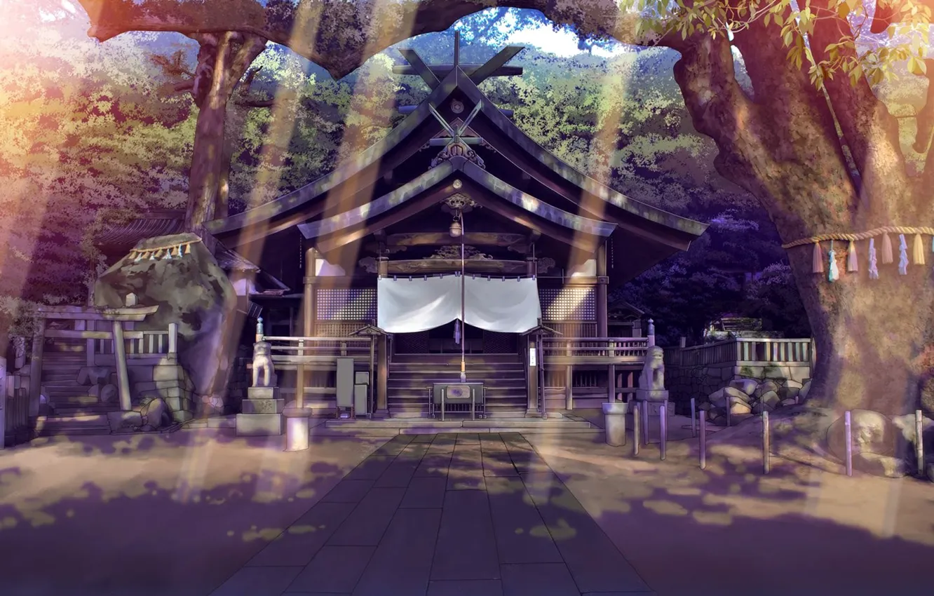 Photo wallpaper Tree, Forest, Temple, The Rays Of The Sun, Japanese Temple
