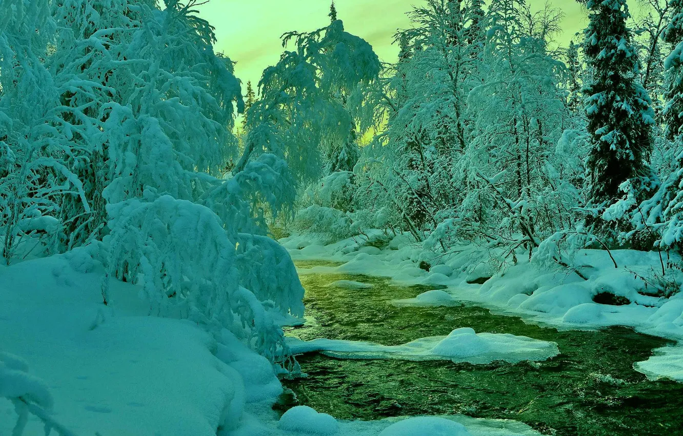 Photo wallpaper winter, forest, the sky, snow, trees, sunset, river, stream