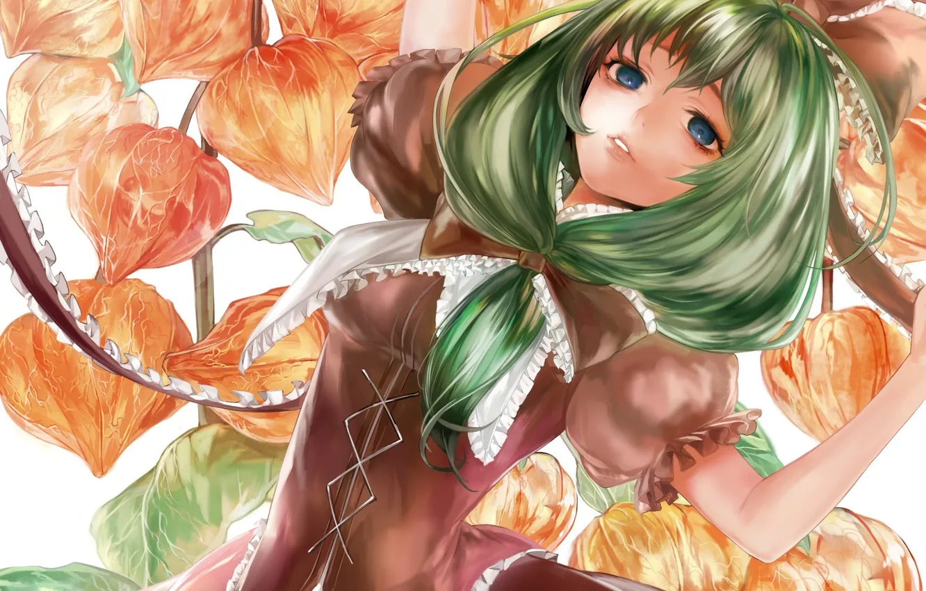 Photo wallpaper girl, plant, art, bow, touhou, Kagiyama Hina, TCB