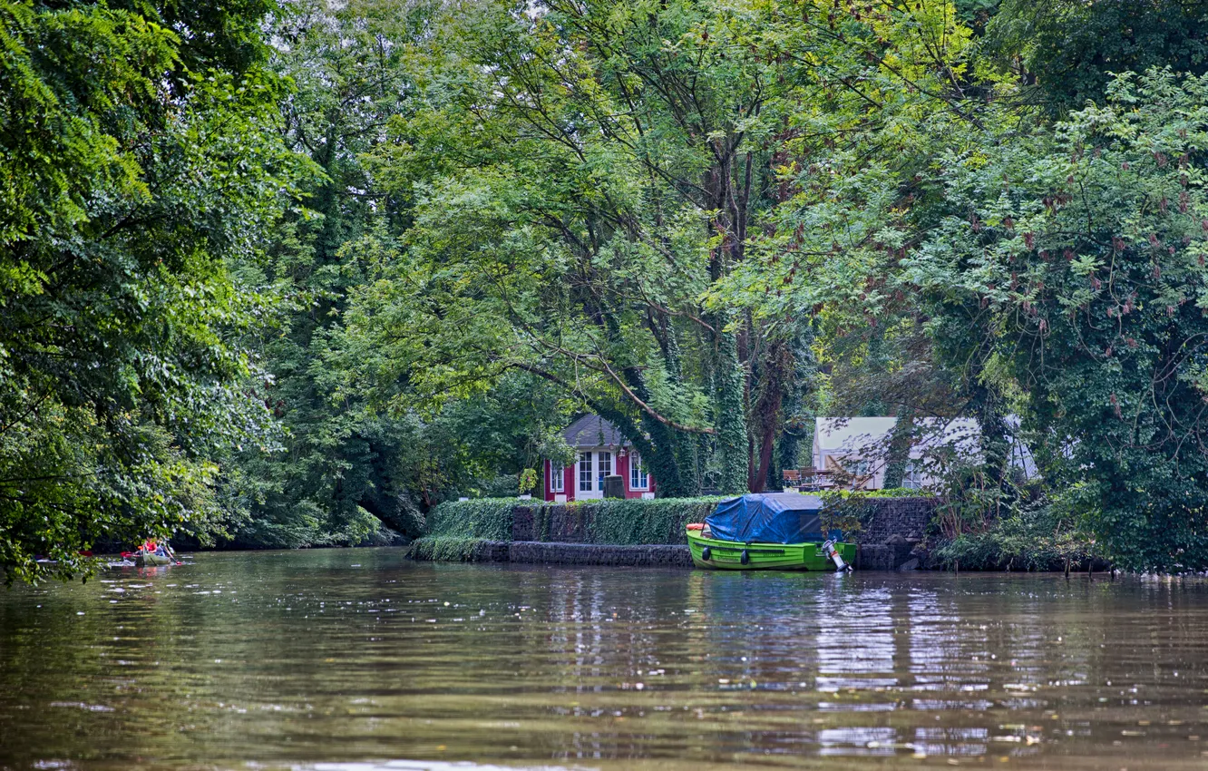 Photo wallpaper trees, river, boat