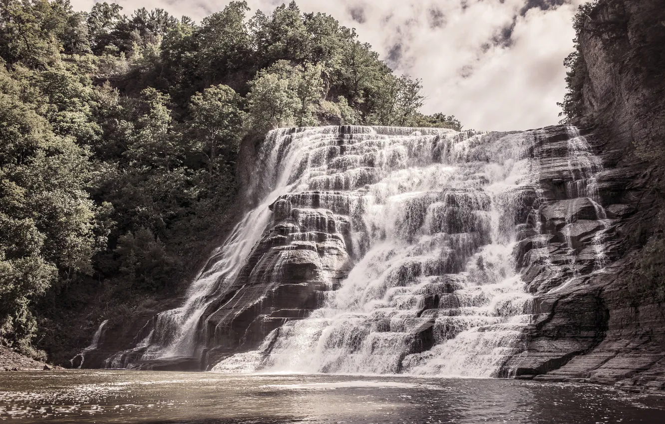 Photo wallpaper greens, forest, the sky, trees, lake, rocks, waterfall, pond
