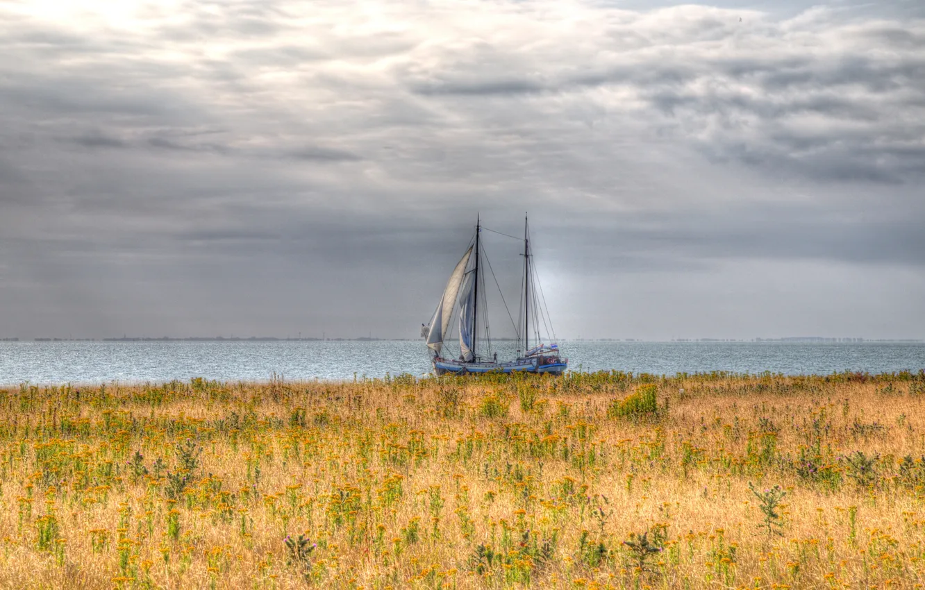 Photo wallpaper field, the sky, the sun, clouds, sailboat, Bay