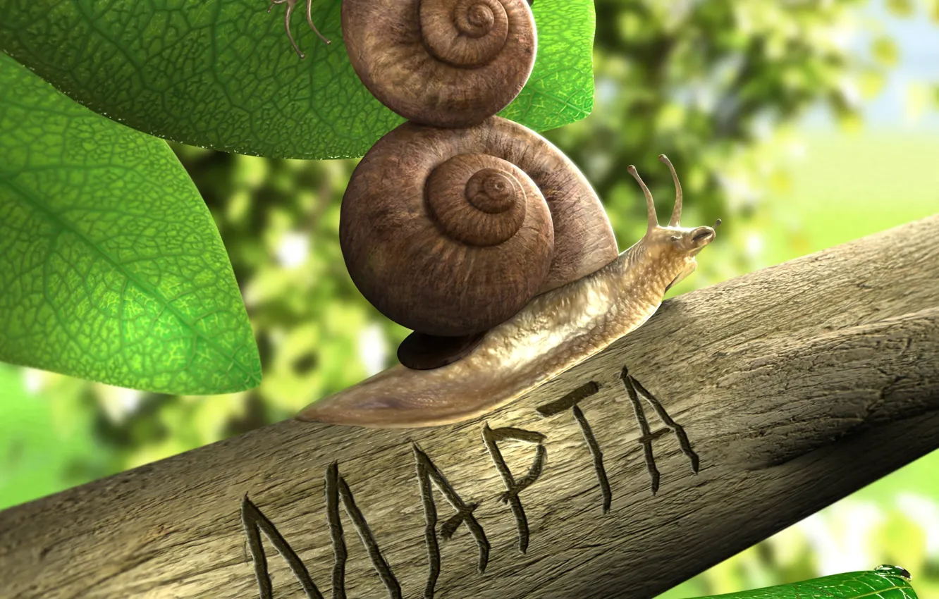 Photo wallpaper greens, leaves, snail, day, March 8, international, women's, by denisogloblin