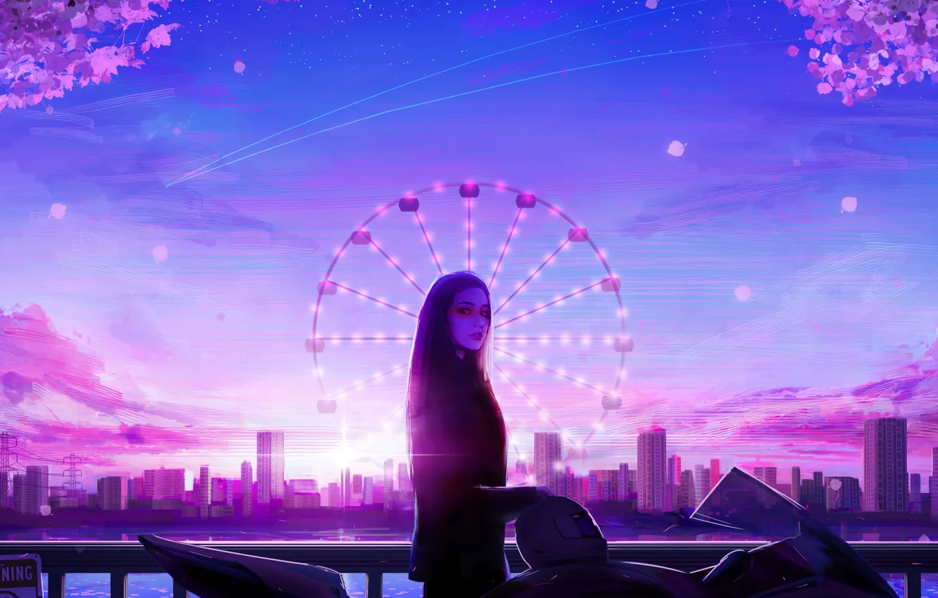 Photo wallpaper girl, sunset, the city, Ferris wheel, bike, by RicoDZ