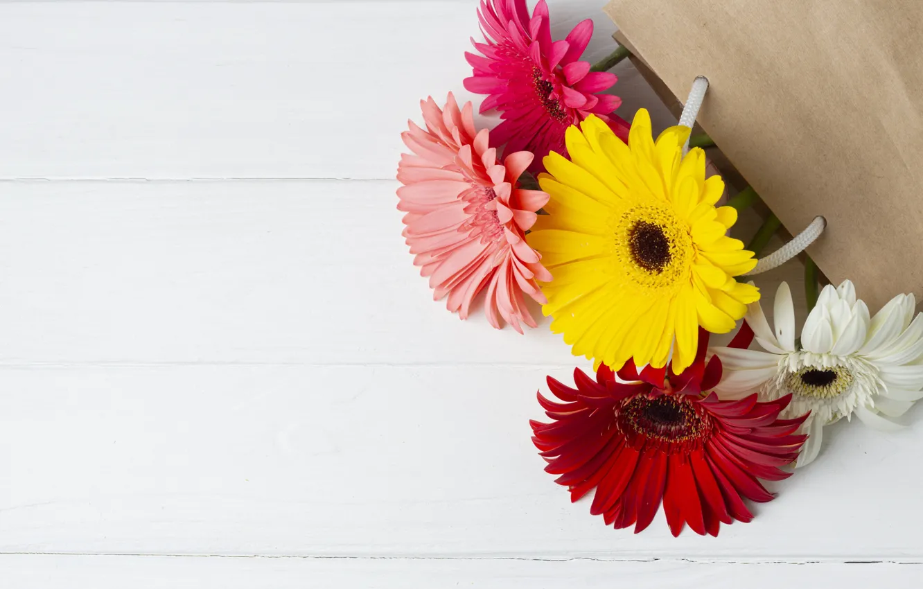 Photo wallpaper flowers, bouquet, gerbera