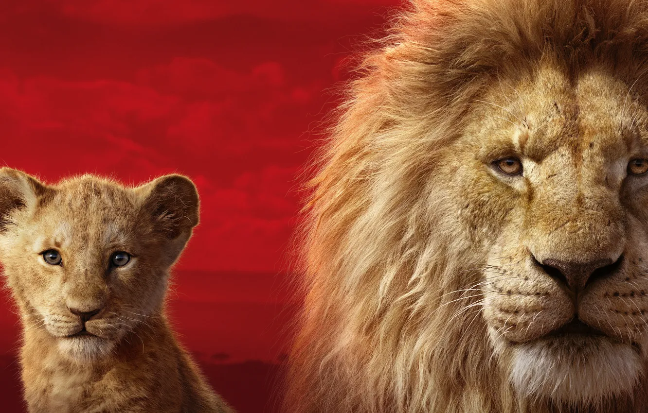 Photo wallpaper Leo, lion, Mufasa, Simba, The Lion King, red background