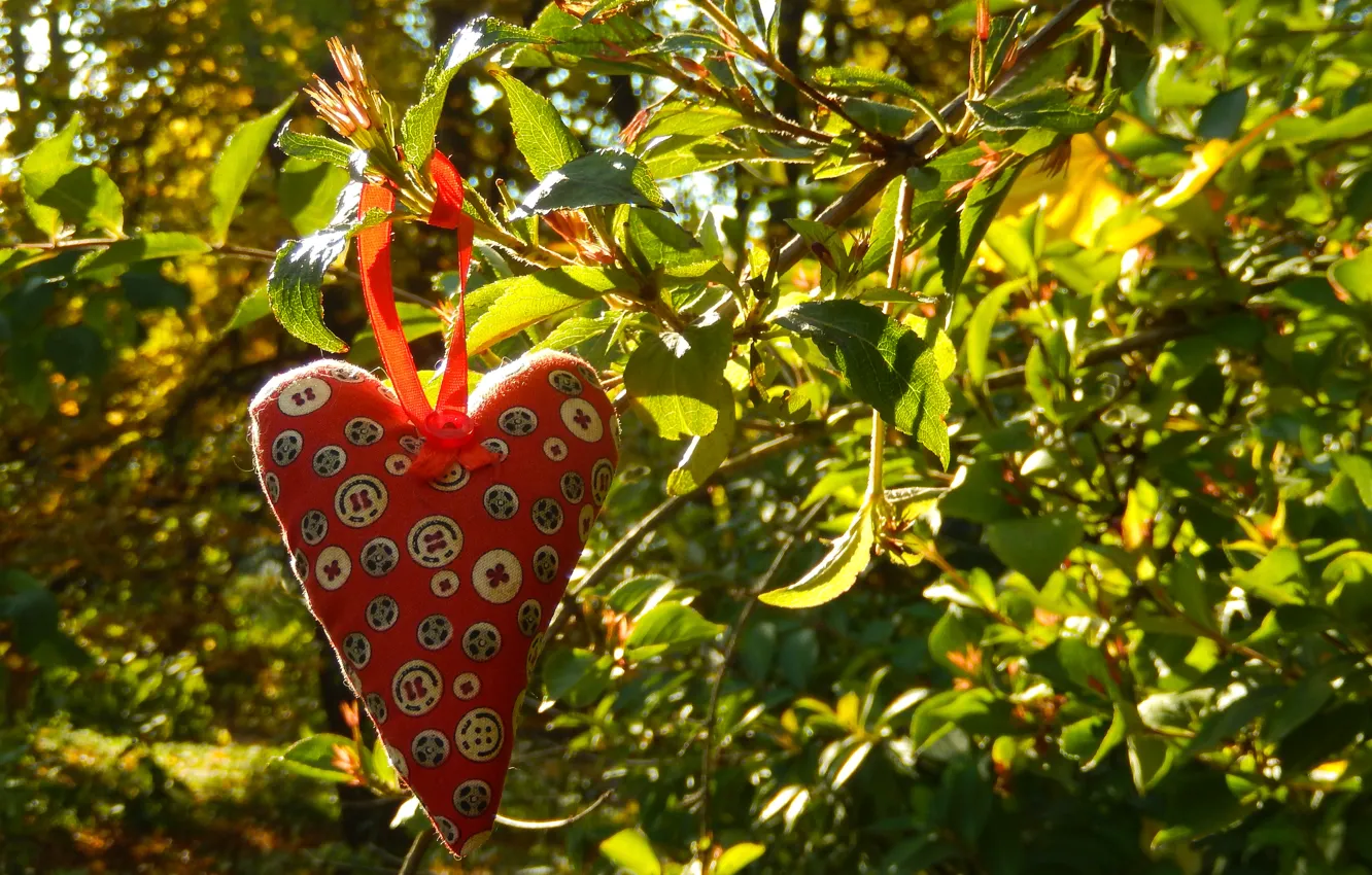 Photo wallpaper leaves, widescreen, Wallpaper, heart, wallpaper, the bushes, heart, widescreen