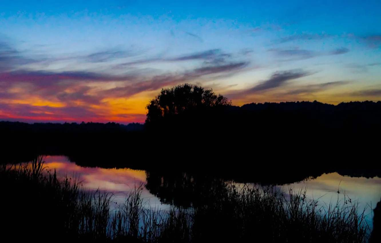 Photo wallpaper light, summer, nature, night