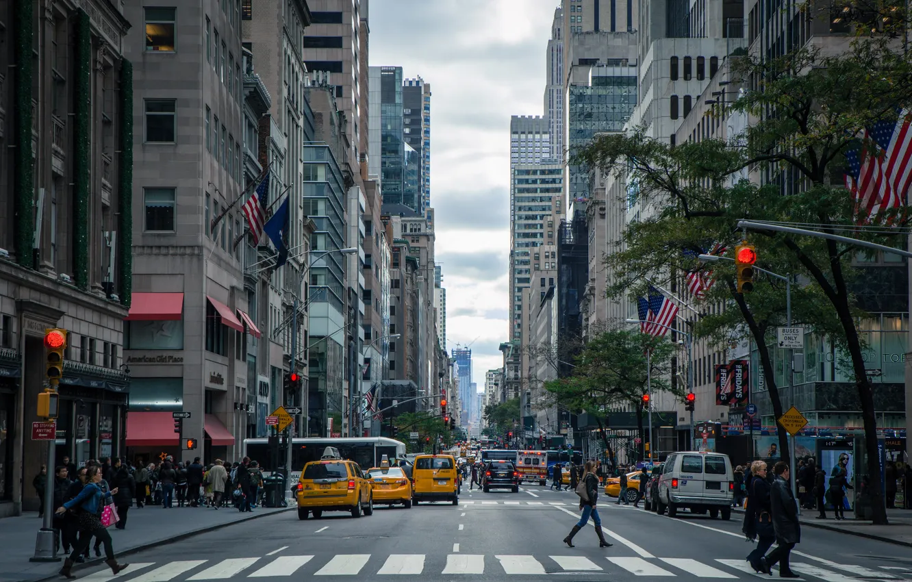 Photo wallpaper movement, New York, Zebra, USA, megapolis, pedestrians