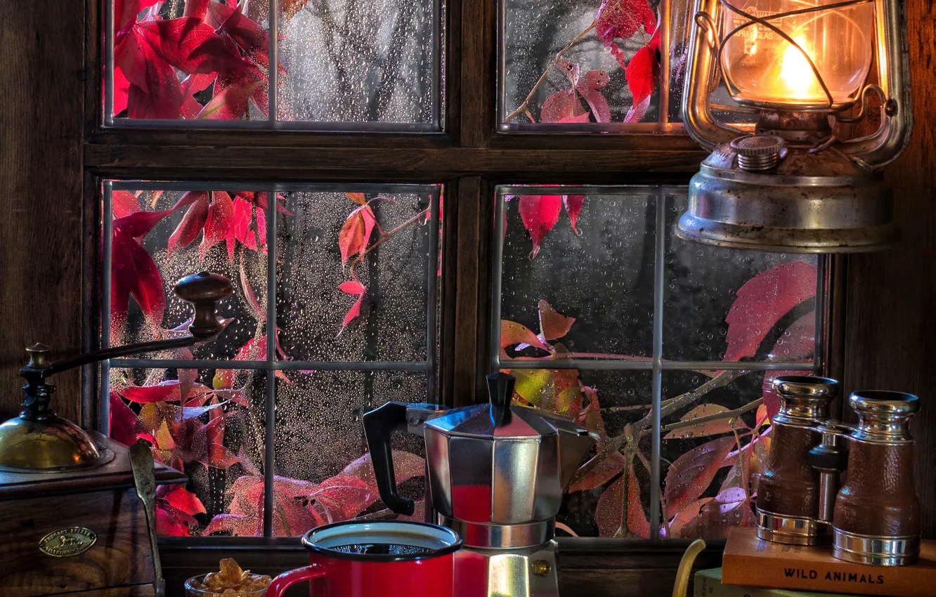 Photo wallpaper autumn, style, rain, coffee, cookies, window, lights, mug