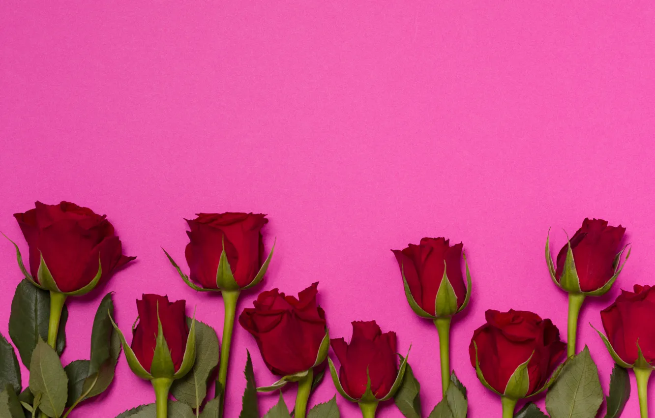 Photo wallpaper flowers, red, roses, bouquet, red, buds, flowers, romantic